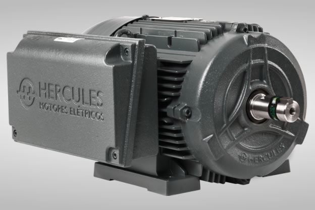 MOTOR IP55 HERCULES